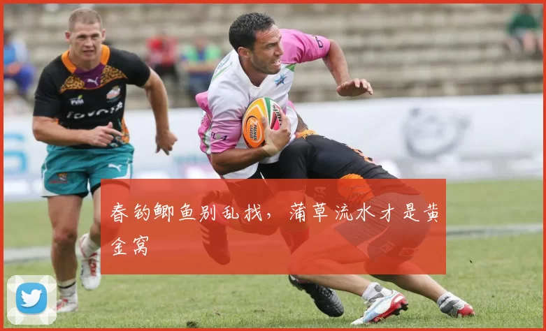 春钓鲫鱼别乱找，蒲草流水才是黄金窝