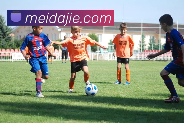 App Interface Preview